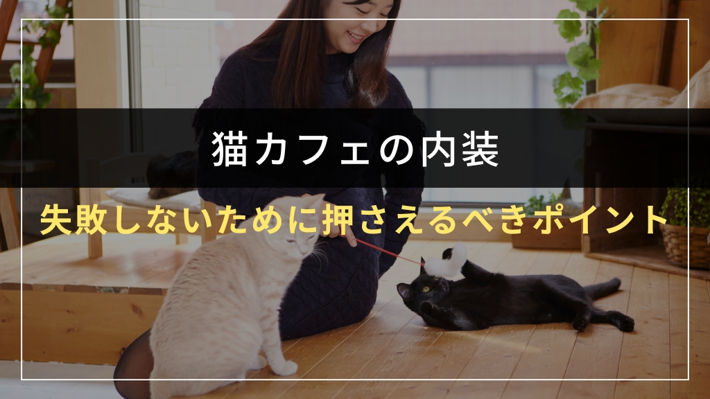 猫カフェの内装で失敗しないために押さえるべきポイント
