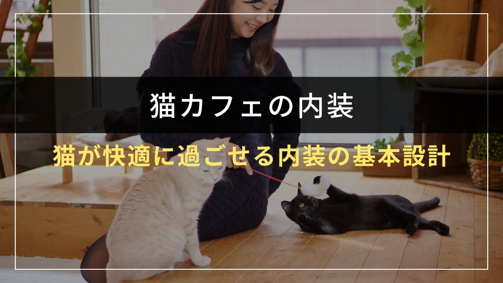 猫が快適に過ごせる猫カフェ内装の基本設計