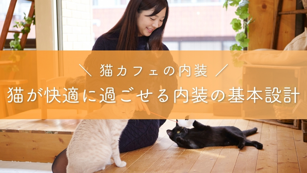 猫カフェの内装_猫が快適に過ごせる内装の基本設計