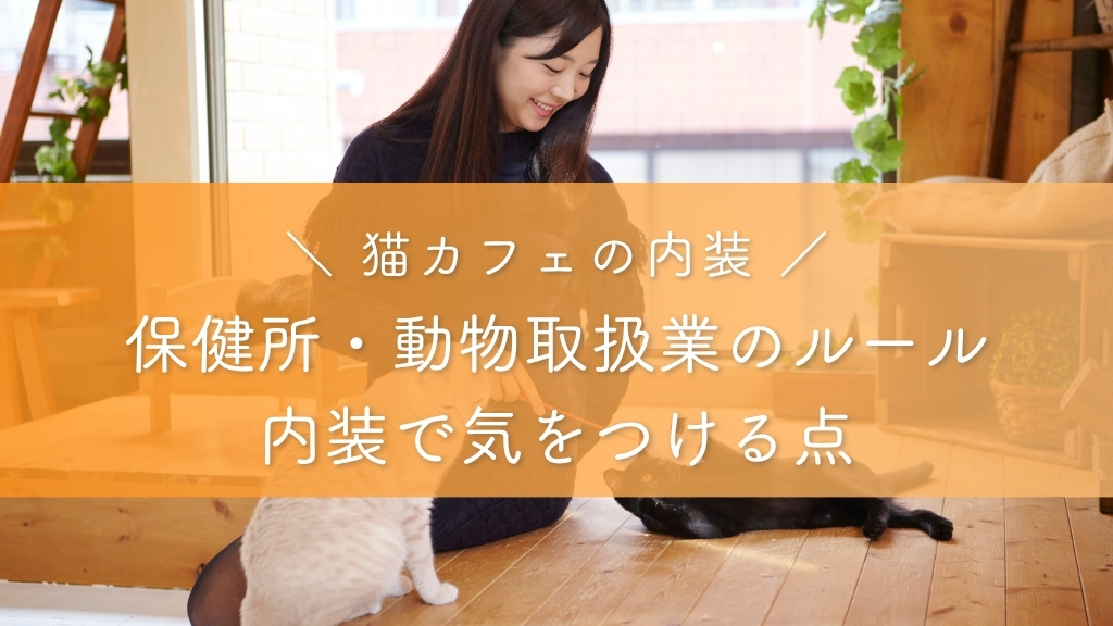 猫カフェの内装_保健所・動物取扱業のルールと内装で気をつける点