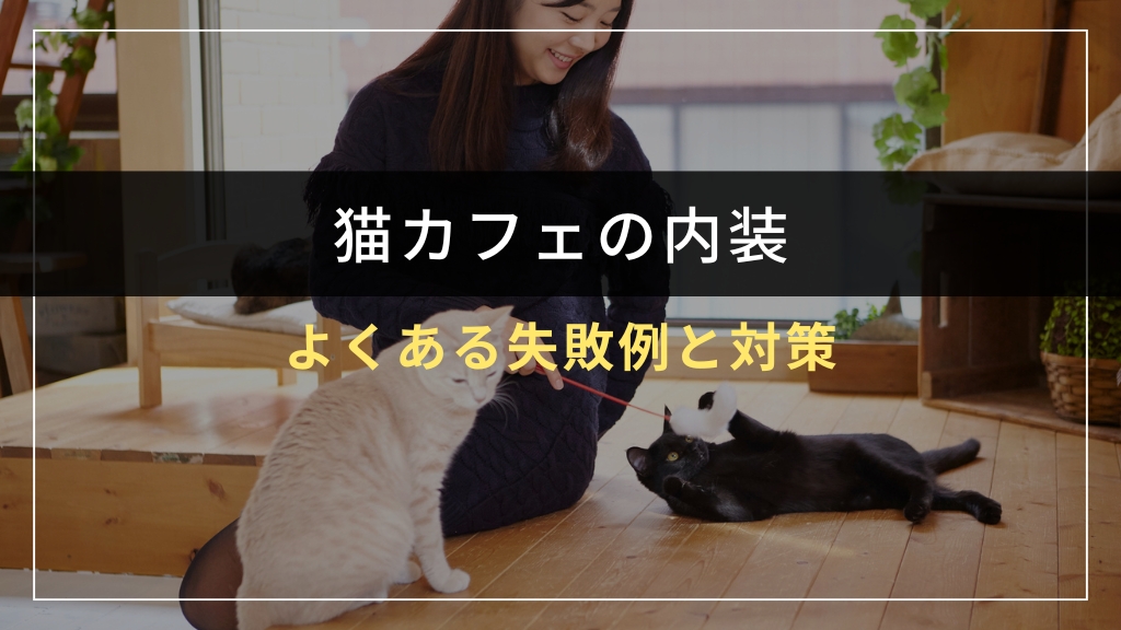 猫カフェ内装でよくある失敗例と対策