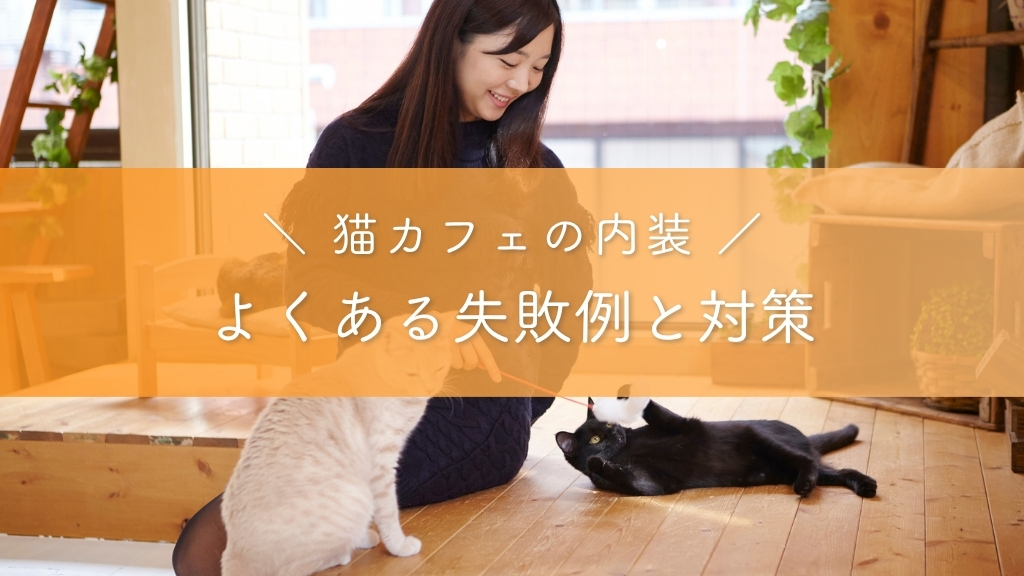 猫カフェの内装_よくある失敗例と対策